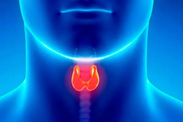 O que a Endocrinologia trata?