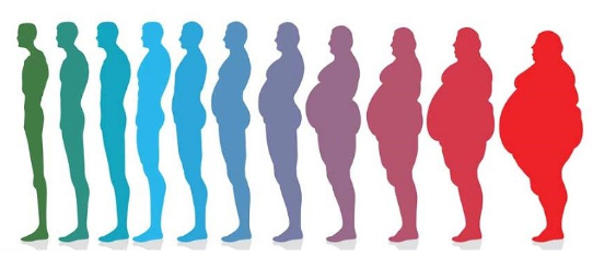 Obesidade é uma Doença? Como Prevení-la?