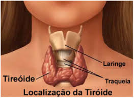 VOCÊ SABIA QUE PRÓXIMO A TIREOIDE EXISTE UMA GLÂNDULA QUE SE CHAMA PARATIREOÓIDE?